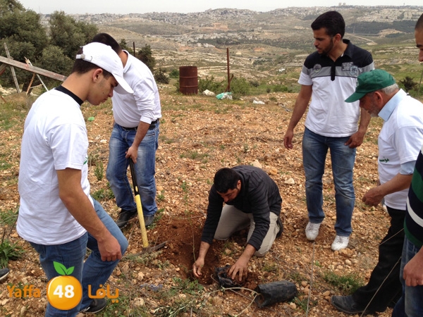 ludandyaffazaitoon (40).JPG